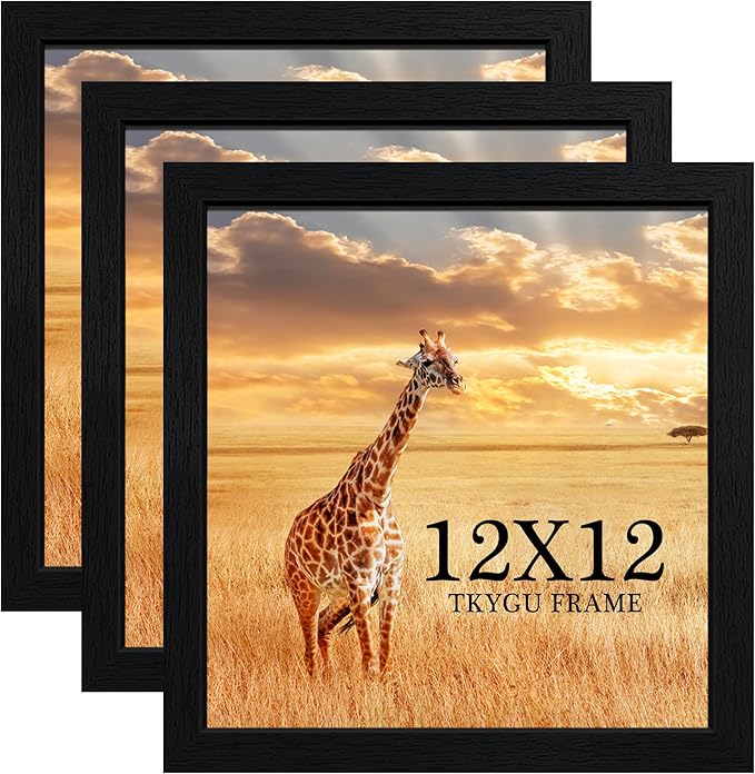 TKYGU 12x12 Picture Frame Set of 3, Black Wooden Frame 12x12 Square Wall Gallery Poster Photo frame with Durable Shatter Resistant Plexiglass,Horizontal and Vertical Formats for Wall Hanging best gift