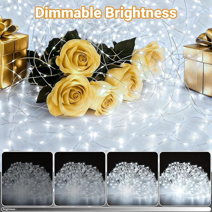 litogo 2 Pack Fairy Lights Battery Operated with Timer, 33FT 100LED Twinkle String Lights USB-C Powered 8 Modes Dimmable for Indoor Bedroom Centerpiece Wedding Classroom Dorm Christmas Decorations