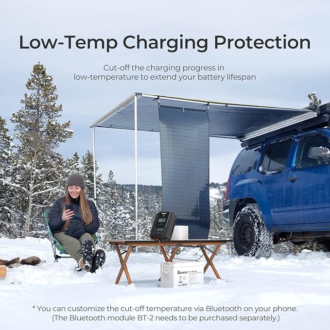 Renogy Solar Charge Controller (Bluetooth) -Rover 30A 12V24V Auto DC Input MPPT Charge Controllers for Solar Panels Adjustable LCD for Gel Sealed Flooded Lithium Batteries