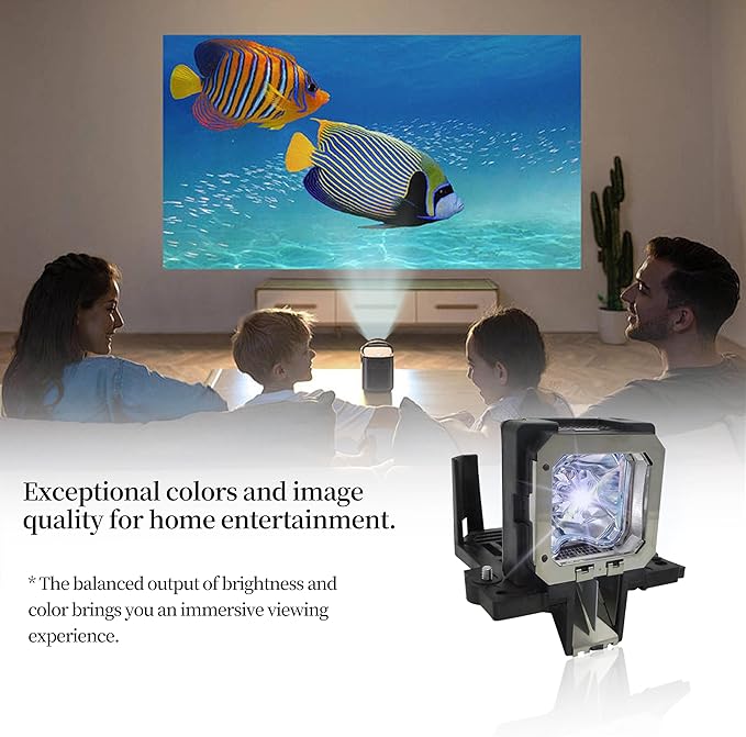 SORNEICDR PK-L2312U/PK-L2312UG Replacement Projector Lamp Bulb Compatible with JVC DLA-RS66 DLA-X35 DLA-X700R DLA-X500R DLA-X55R DLA-RS46U DLA-RS48 DLA-RS48U DLA-RS4810 DLA-RS49 RS4910