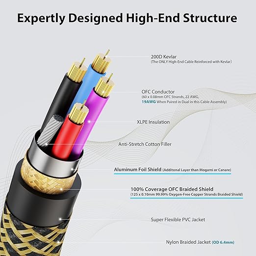 AA AUDIO ACCESSORY Gold Series Star Quad XLR Cables 3.3ft, Neutrik Connectors, 19AWG Microphone Cable, Kevlar-Reinforced Nylon Braided Handmade Mic Cable, 100% Coverage OFC Braid and Al-Foil Shielding