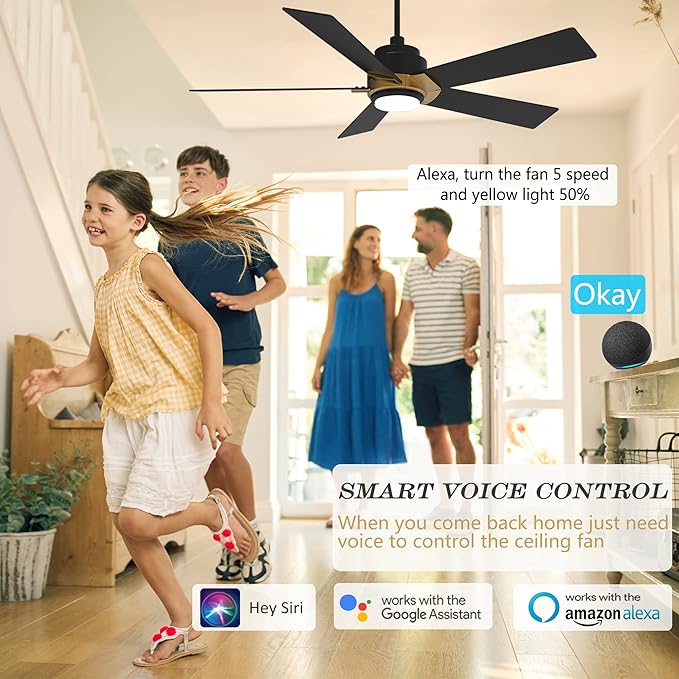 SMAAIR Smart Ceiling Fans with Lights and Remote, 52 Inch Low Profile Ceiling Fan with Dimmable LED Light, 10-Speed Reversible DC Motor Works with APP/Alexa/Google Assistant/Siri Control(Black/Gold)