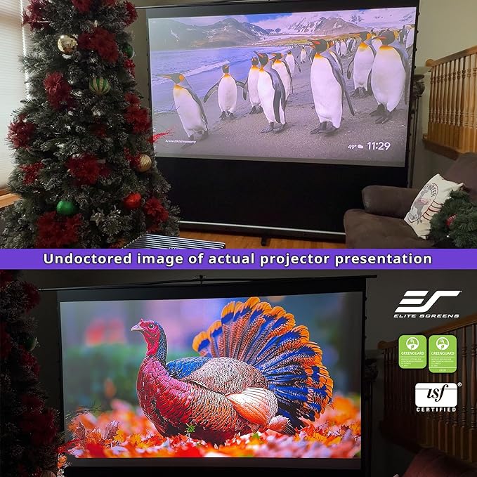 Elite Screens ezCinema Tab-Tension CineGrey 4D, 121-inch 16:9, Manual Floor Pull Up ISF Ceiling Ambient Light Rejecting, Portable Home Office Classroom Projector Screen with Carrying Bag, FT121UH-C4D