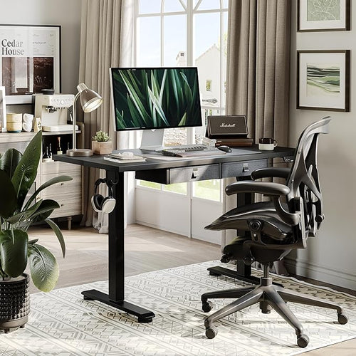 Agilestic Standing Desk with 2 Drawers, Adjustable Height Electric Desk with Storage, 48 x 24 Inches Sit Stand Up Computer Table for Work Office Home, Black